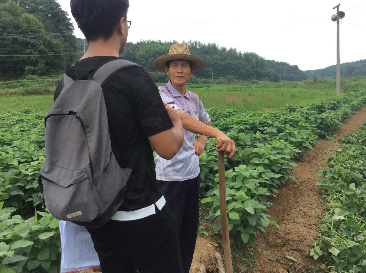 科技大学暑期实践队赴湖南湖北调研农村公路建设对当地经济发展的影响